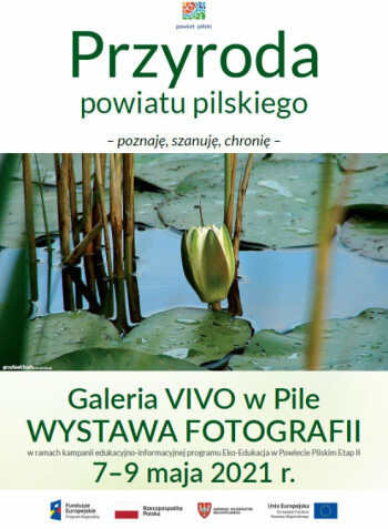 Polecamy wystawę o przyrodzie powiatu pilskiego w Galerii VIVO!