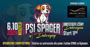 Psi spacer w Dobrzycy