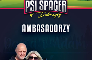 Psi spacer w Dobrzycy 