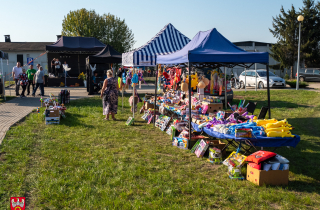 piknik Dzień Pieczonego Ziemniaka 