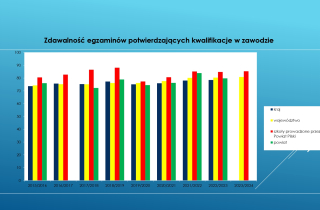 3 analiza_zawodowy_page-0003