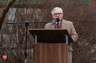 uroczystość pod obeliskiem Powstańców Wielkopolskich w Pile 